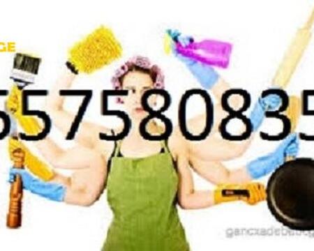 დამლაგებელი გამოძახებით ფასი \ \ 557580835