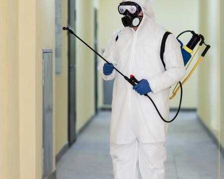 ტარაკანებთან.ჭიანჭველებთან.კოღოებთან და ყველა მწერთან ბრძოლა