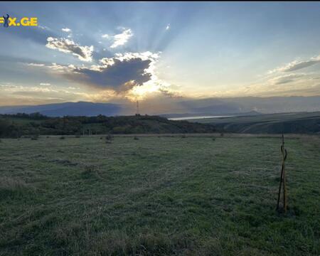 იყიდება მიწის ნაკვეთი ქვიშიანში